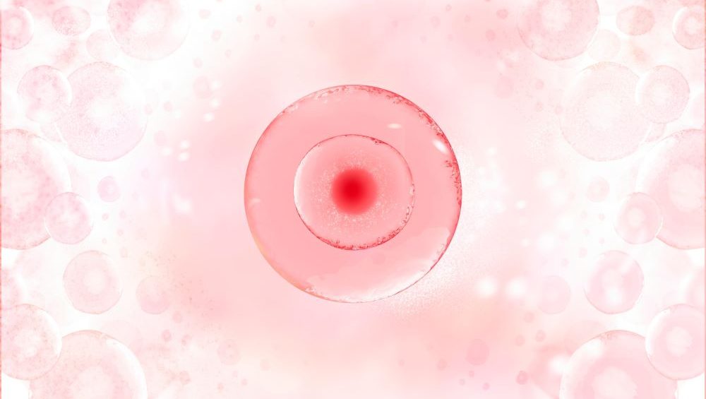 การฝากไข่ด้วยเทคโนโลยี Long-term Cryo ทำให้ไข่ยังคงคุณภาพดีเหมือนตอนที่เก็บไข่แม้เวลาจะผ่านไปหลายปี