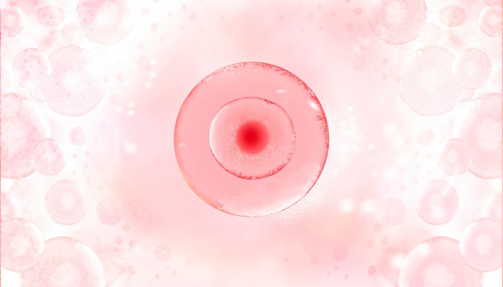 การฝากไข่ด้วยเทคโนโลยี Long-term Cryo ทำให้ไข่ยังคงคุณภาพดีเหมือนตอนที่เก็บไข่แม้เวลาจะผ่านไปหลายปี