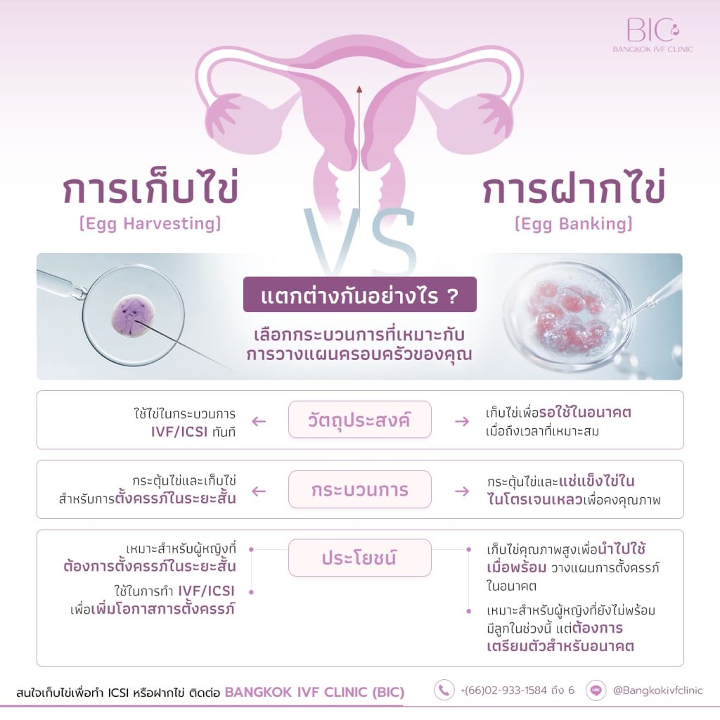 ความแตกต่างและประโยชน์ของการเก็บไข่และการฝากไข่