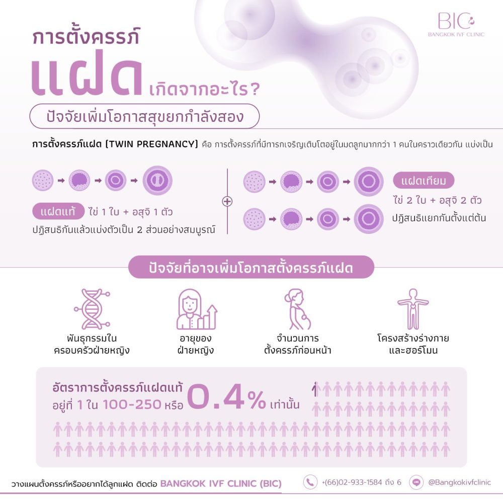 Factors that increase the chances of having twins that couples should know.