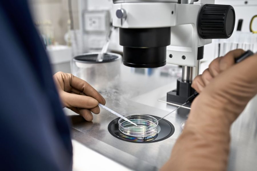 Planning to have children: Egg Freezing vs. Embryo Freezing: Which is Better?